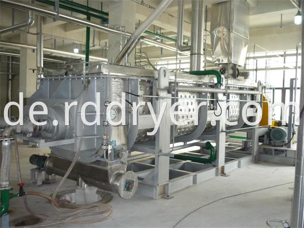 Continuous Operation Polyester Slices Paddle Dryer Machine